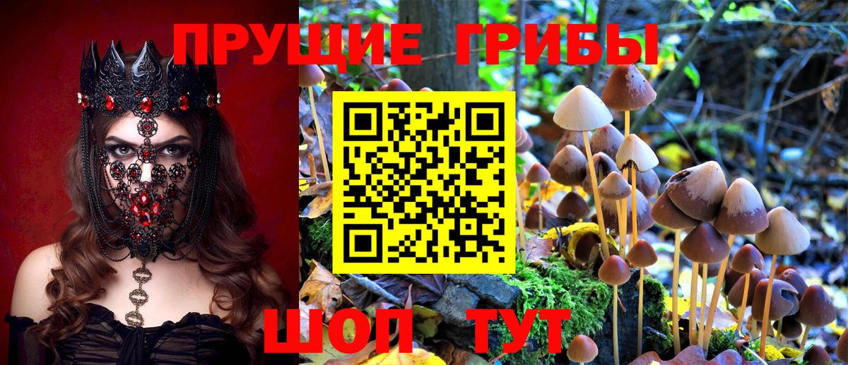 Городец  Галлюциногенные грибы ЛСД  Вход с VPN 